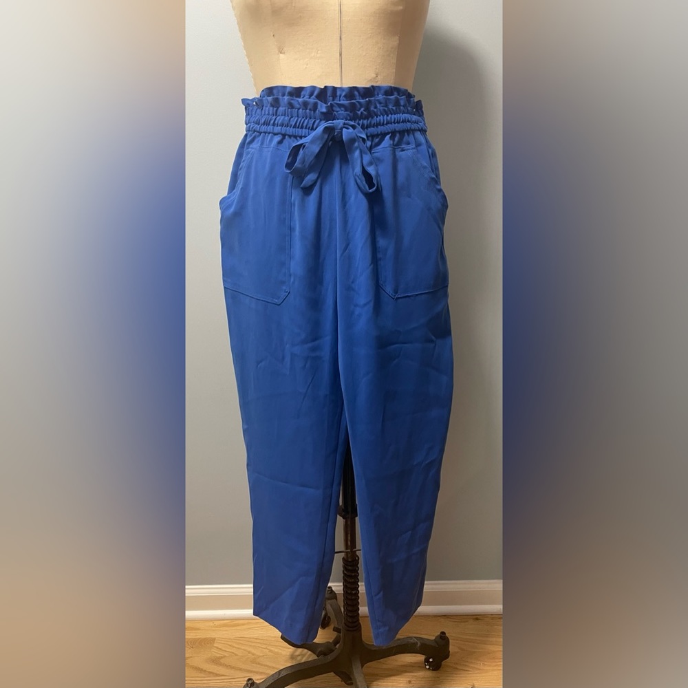 *NWT* Zara Electric Blue Woven Trouser Pant
